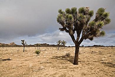 《漫威争锋》发布新地图预告：东京2099蜘蛛岛